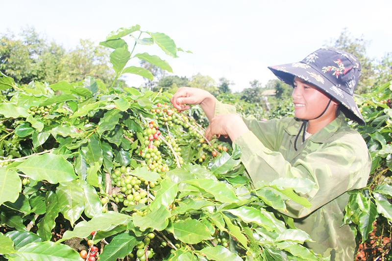 Toàn cảnh lễ phát động