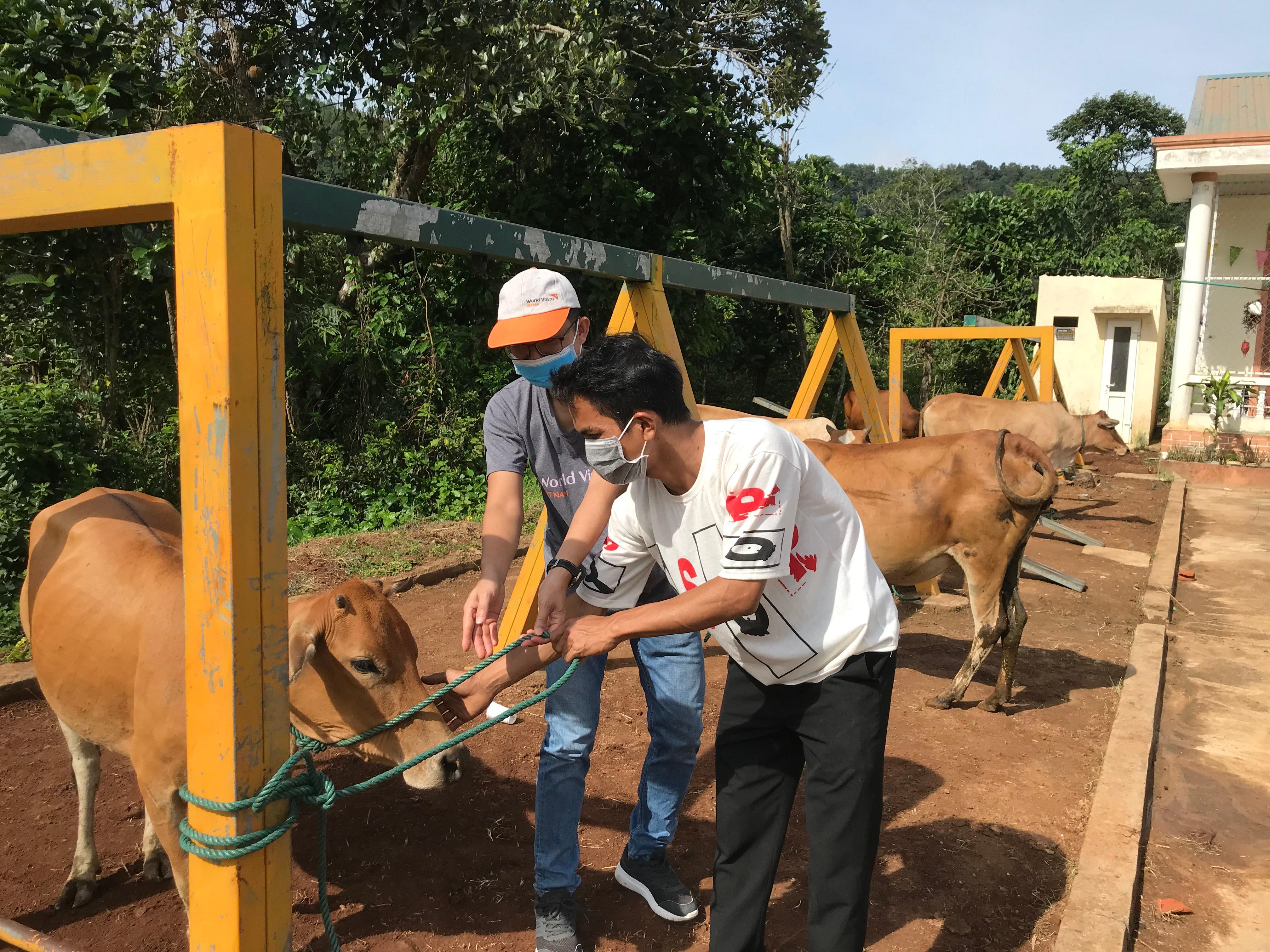 Toàn cảnh lễ phát động