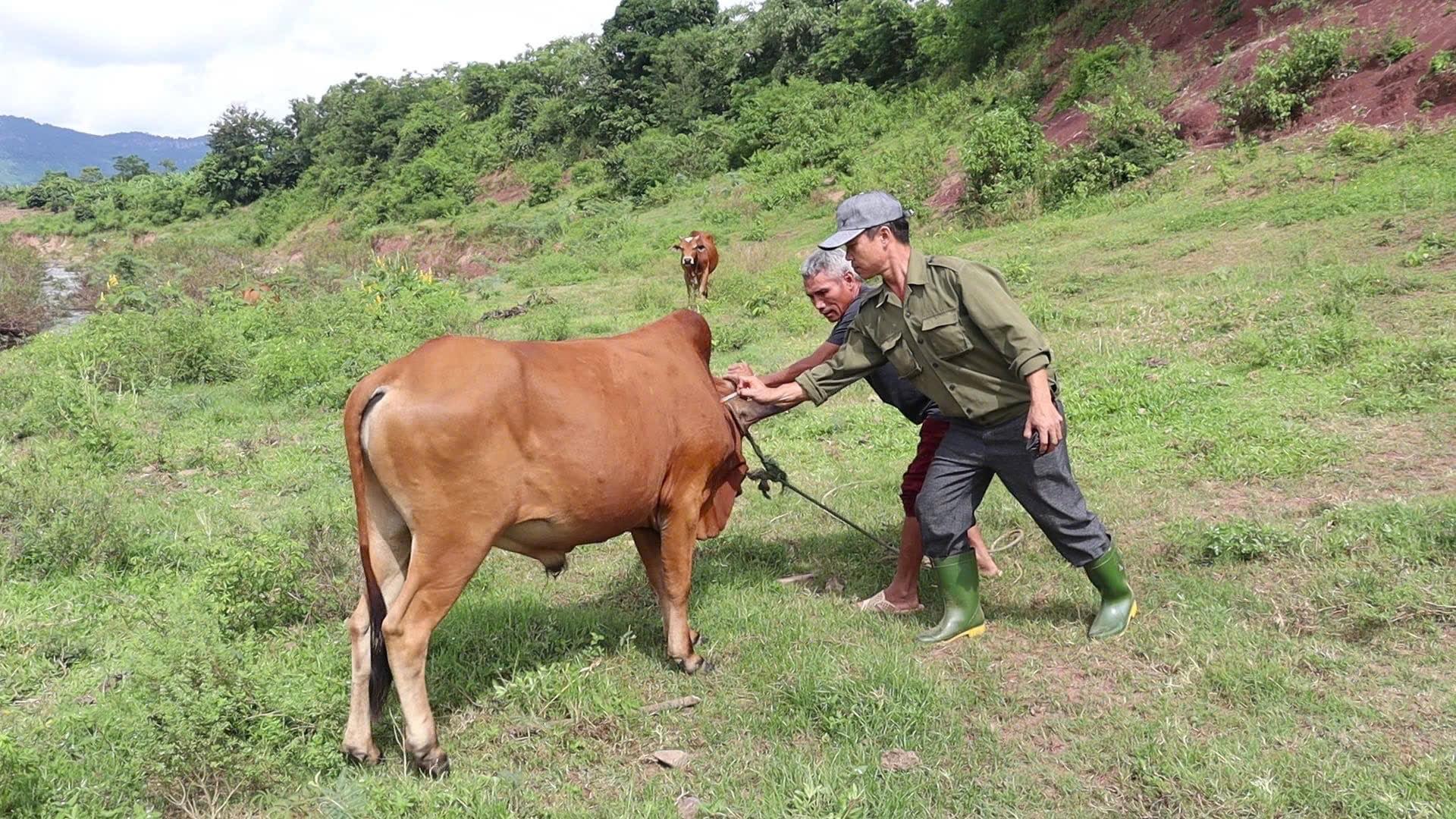 Toàn cảnh lễ phát động