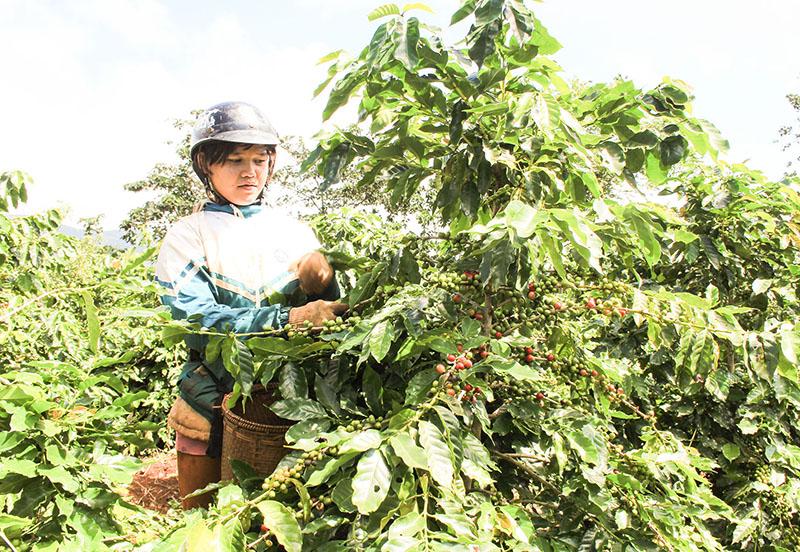 Toàn cảnh lễ phát động