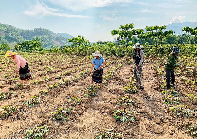 Toàn cảnh lễ phát động