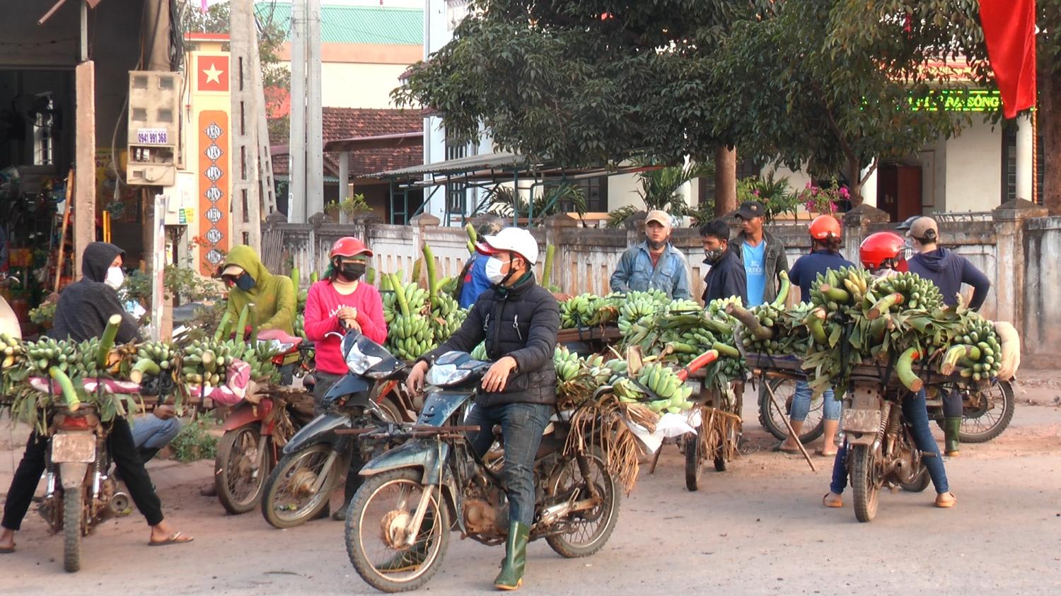 Toàn cảnh lễ phát động