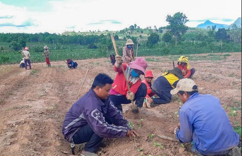 Toàn cảnh lễ phát động