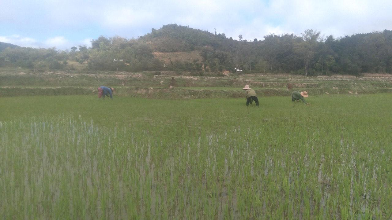 Toàn cảnh lễ phát động