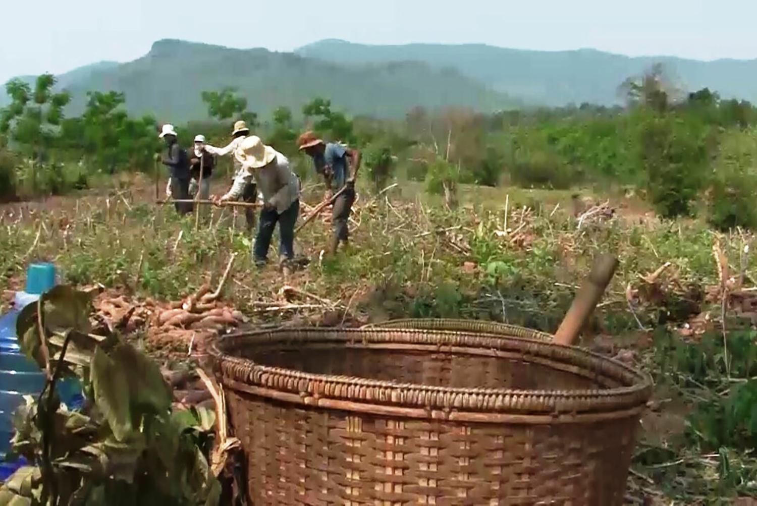 Toàn cảnh lễ phát động