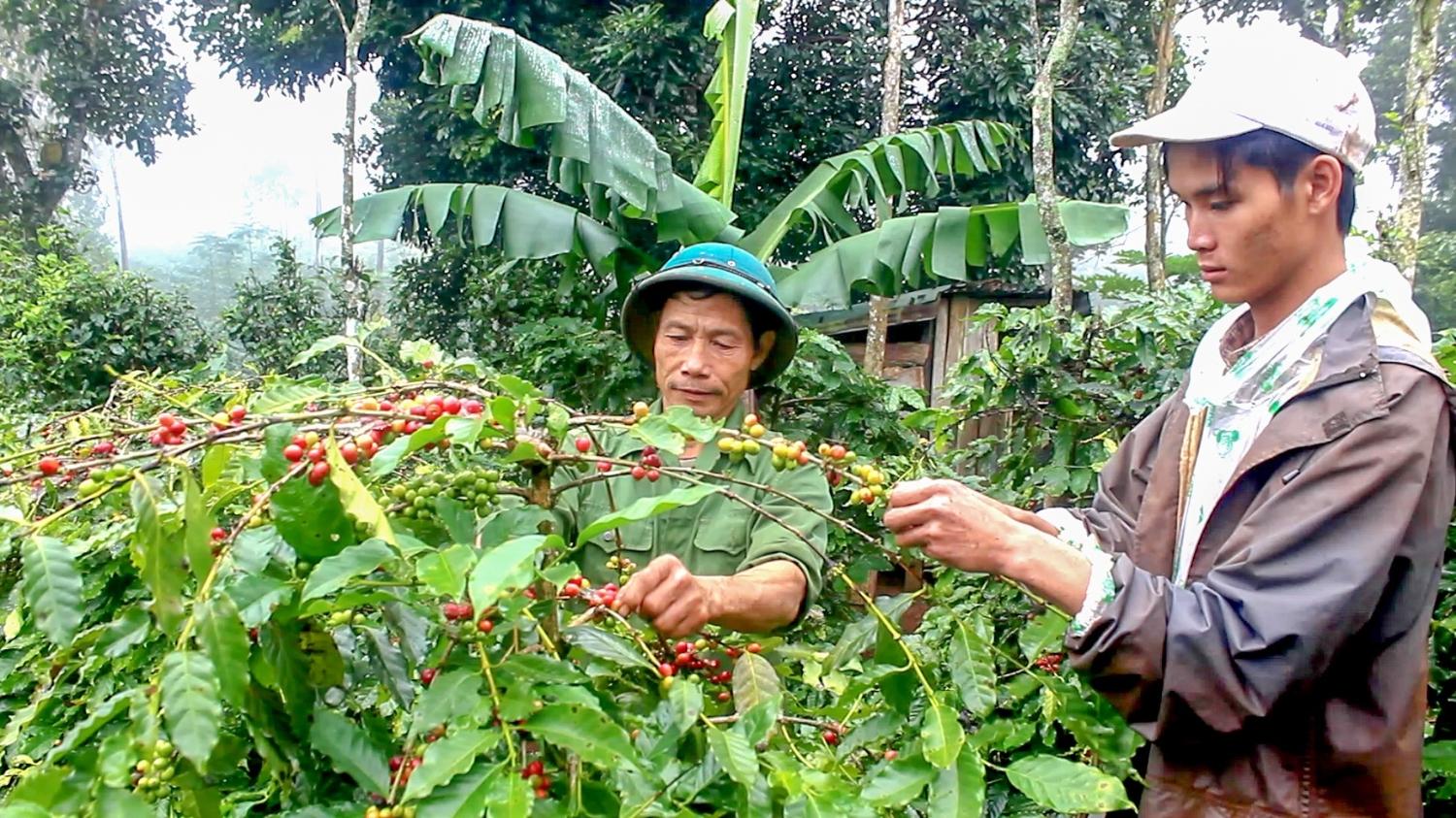 Toàn cảnh lễ phát động